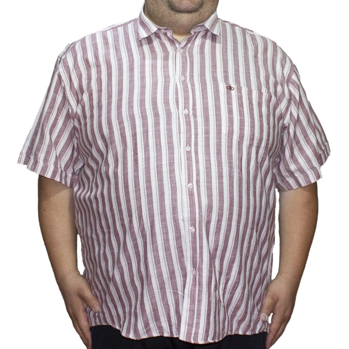 Camasa barbateasca maneca scurta in dungi visinii