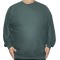 Bluza barbatesca verde la baza gatului
