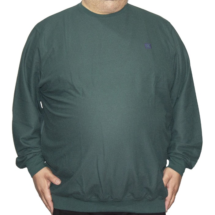 Bluza barbatesca verde la baza gatului