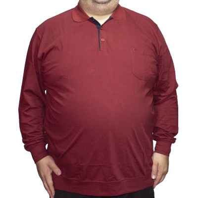 Bluza barbatesca visinie cu guler