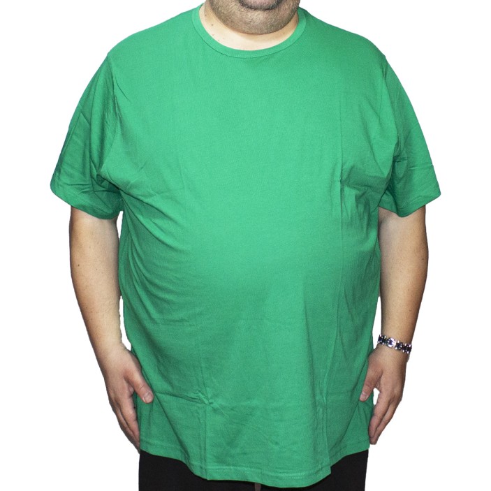 Tricou barbatesc verde simplu, croiala clasica